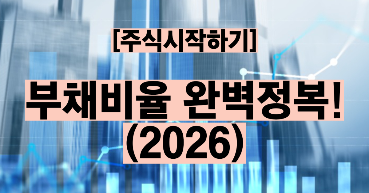 부채비율 뜻 계산법 적정 기준 업종별 비교 재무 건전성 투자 지표