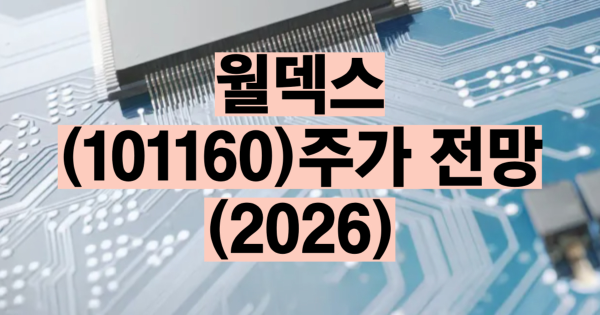 월덱스 주가 전망 2026