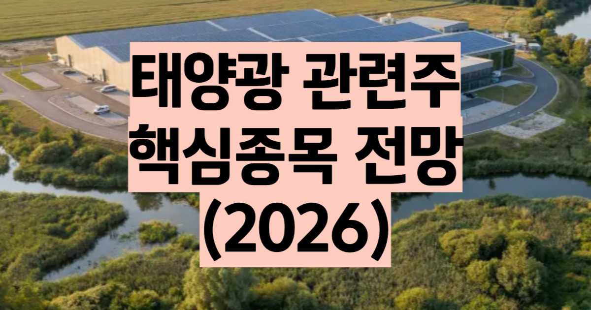 태양광 관련주 총정리 2026 대장주 4종목 ROE 부채비율 비교 OCI홀딩스 한화솔루션 HD현대에너지솔루션 에스에너지